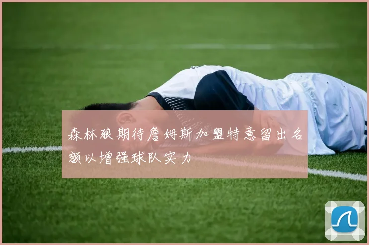 森林狼期待詹姆斯加盟特意留出名额以增强球队实力